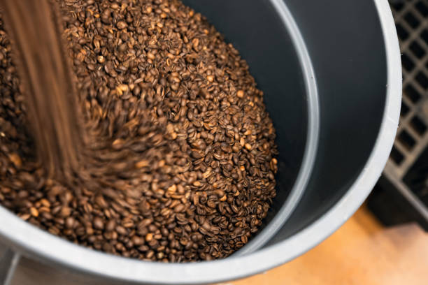 Roasted coffee beans just after roasting are poured into a receiving container, close-up photo with motion blur effect and selective soft focus