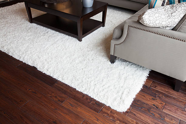 View at white area carpet in a contemporary living room.